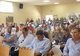 Imagen de los compradores en la subasta.