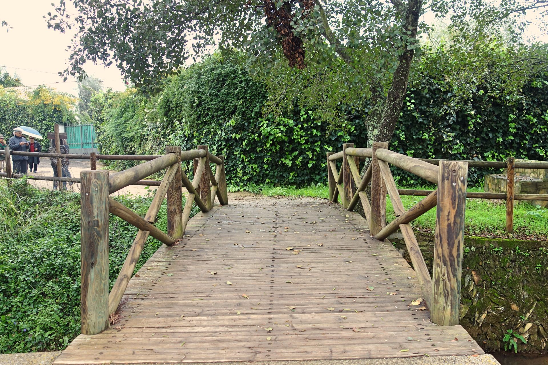 Fotos | Puentes de La Raya