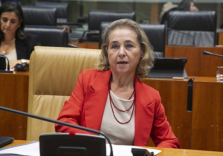 La consejera de Educación, Mercedes Vaquera, en el pleno de esta mañana.