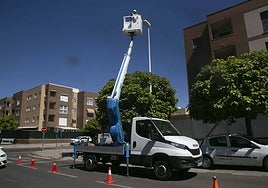 Trabajos de mantenimiento de farolas de la ciudad.