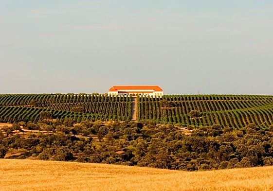 Bodega Palacio Quemado