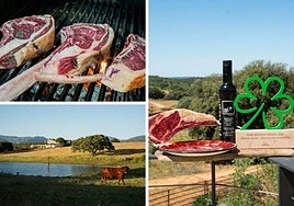 Imágenes del hotel rural y su asador