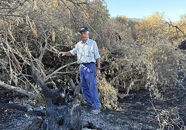 Nicanor Pescador, en su olivar de Villar que ha arrasado el fuego.