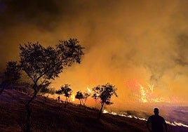 Fotografía del incendio que ha arrasado 25 hectáreas en Perales del Puerto