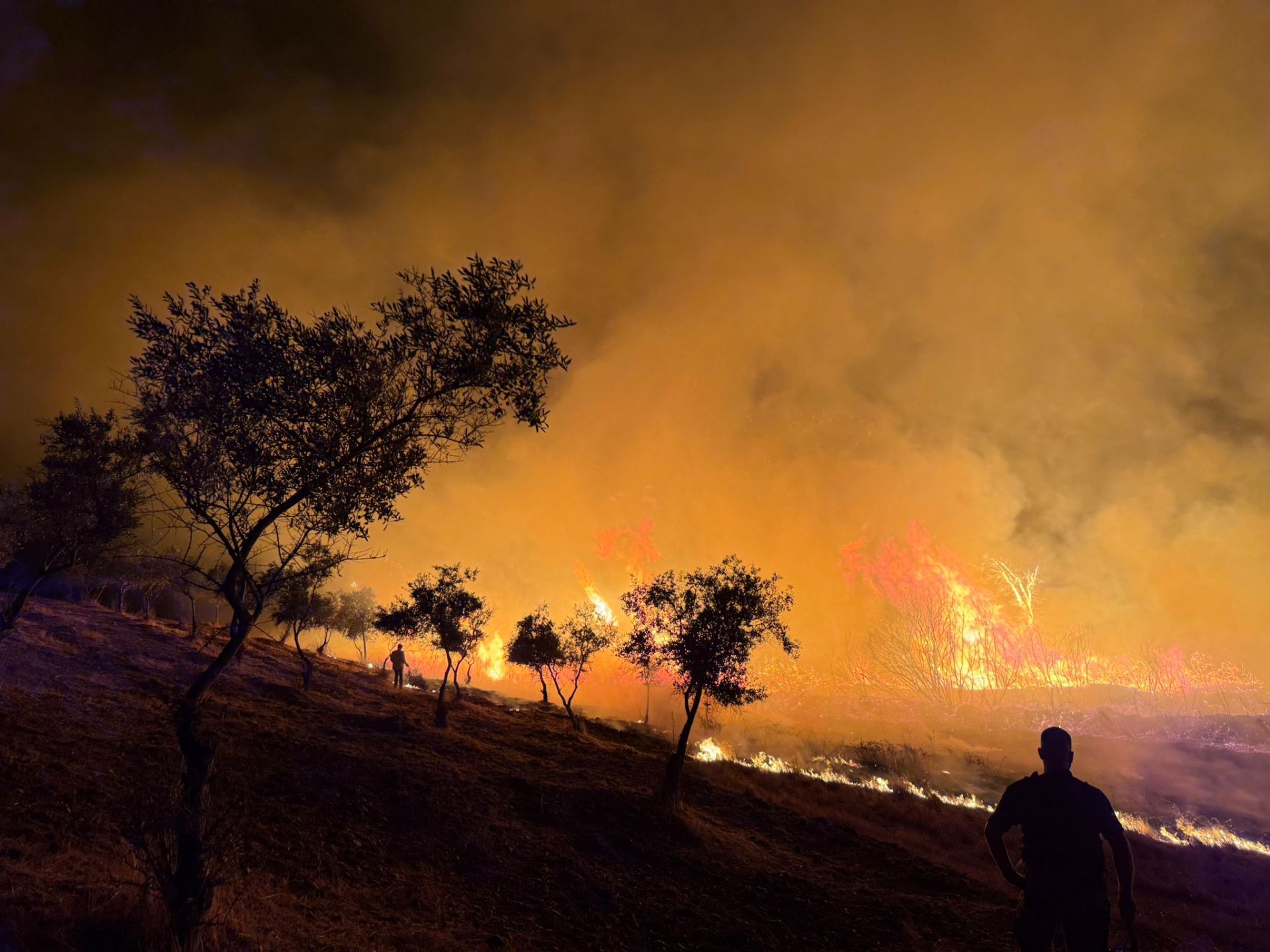 Fotografía del incendio que ha arrasado 25 hectáreas en Perales del Puerto