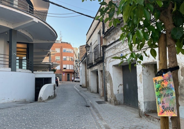 Vecinos del Casco Antiguo de Badajoz colocan carteles para pedir que se cuiden los árboles