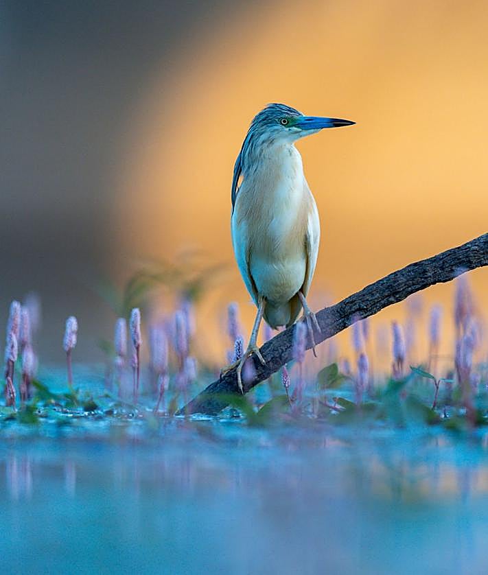 Imagen secundaria 2 - 'Ojo Avizor', 'Bajo el Aguacero' y 'Sintonía'.