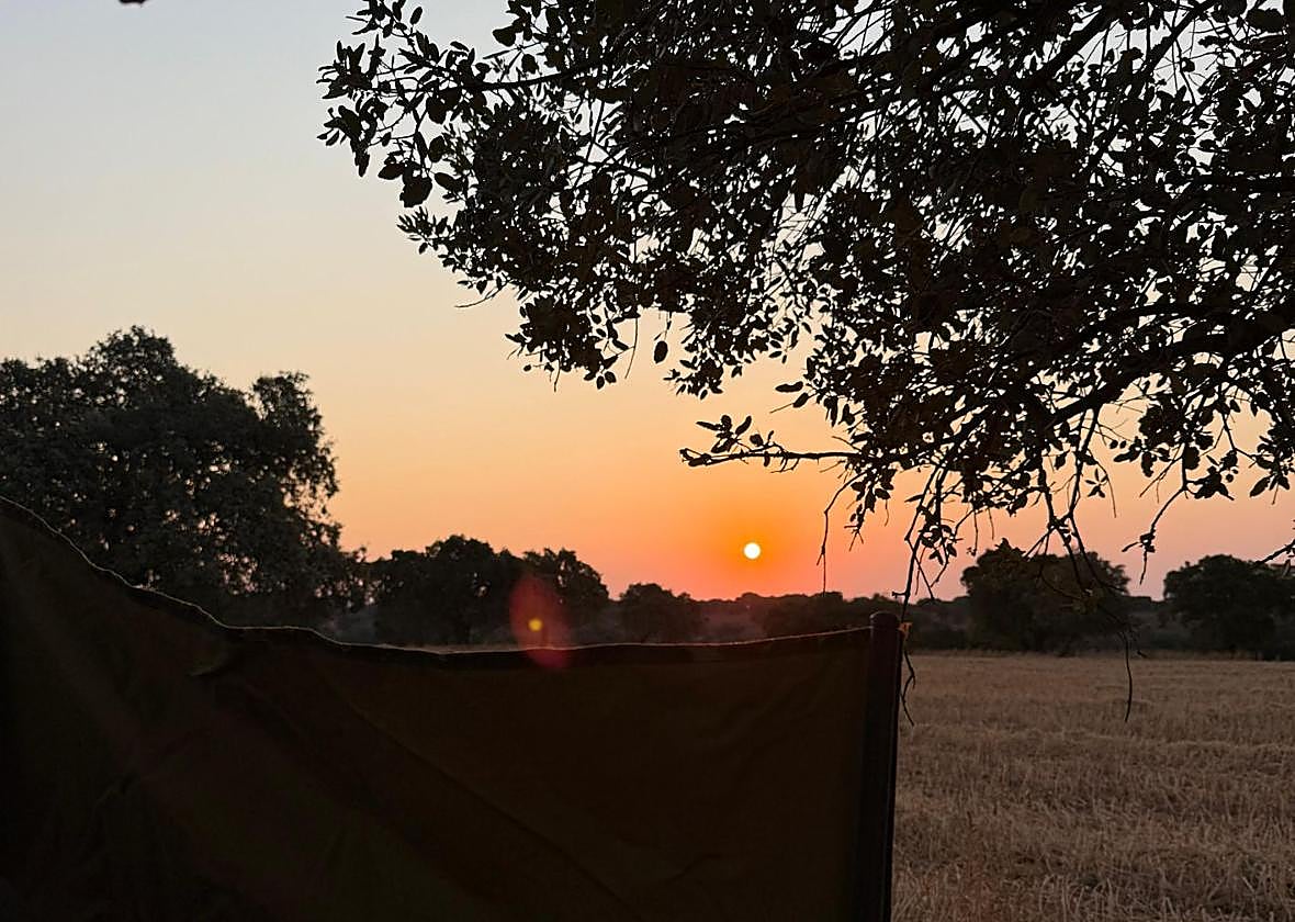 La media veda: el cálido deseo del monte