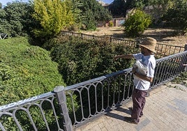 Pedro Moreno, presidente de la Asociación Amigos de la Ribera del Marco, señala el cauce del arroyo, apenas perceptible por la proliferación de maleza.
