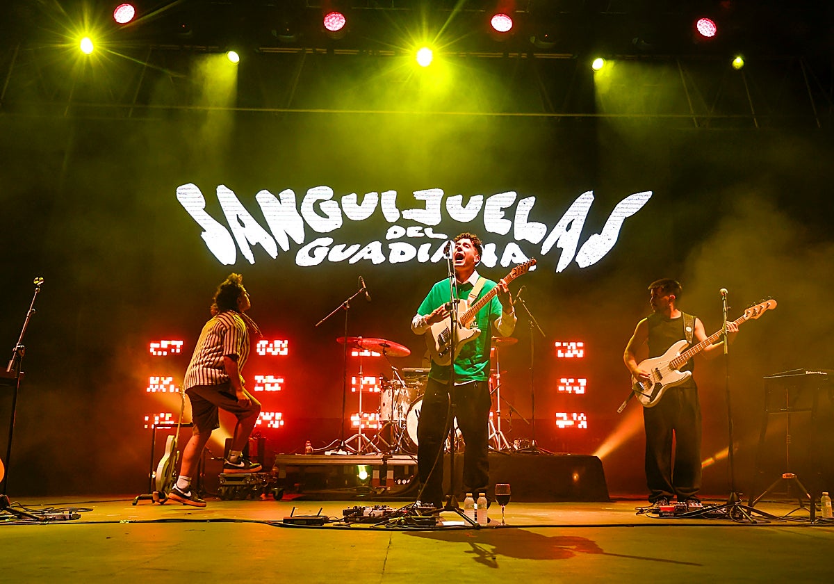 Uno de los conciertos de Sanguijuelas del Guadiana este verano.