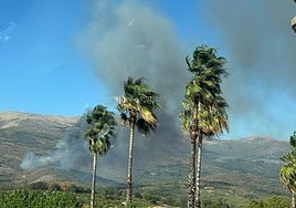 El Infoex da por estabilizado el incendio forestal en Cuacos de Yuste