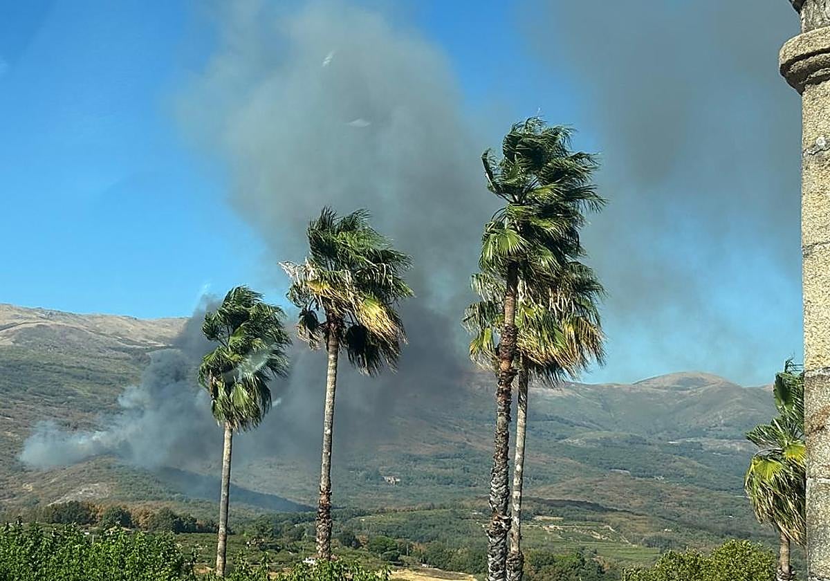 El Infoex da por estabilizado el incendio forestal en Cuacos de Yuste