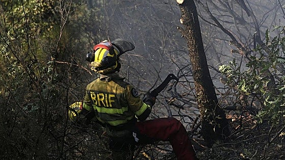 El Infoex desactiva el nivel 1 por un incendio forestal en Talayuela