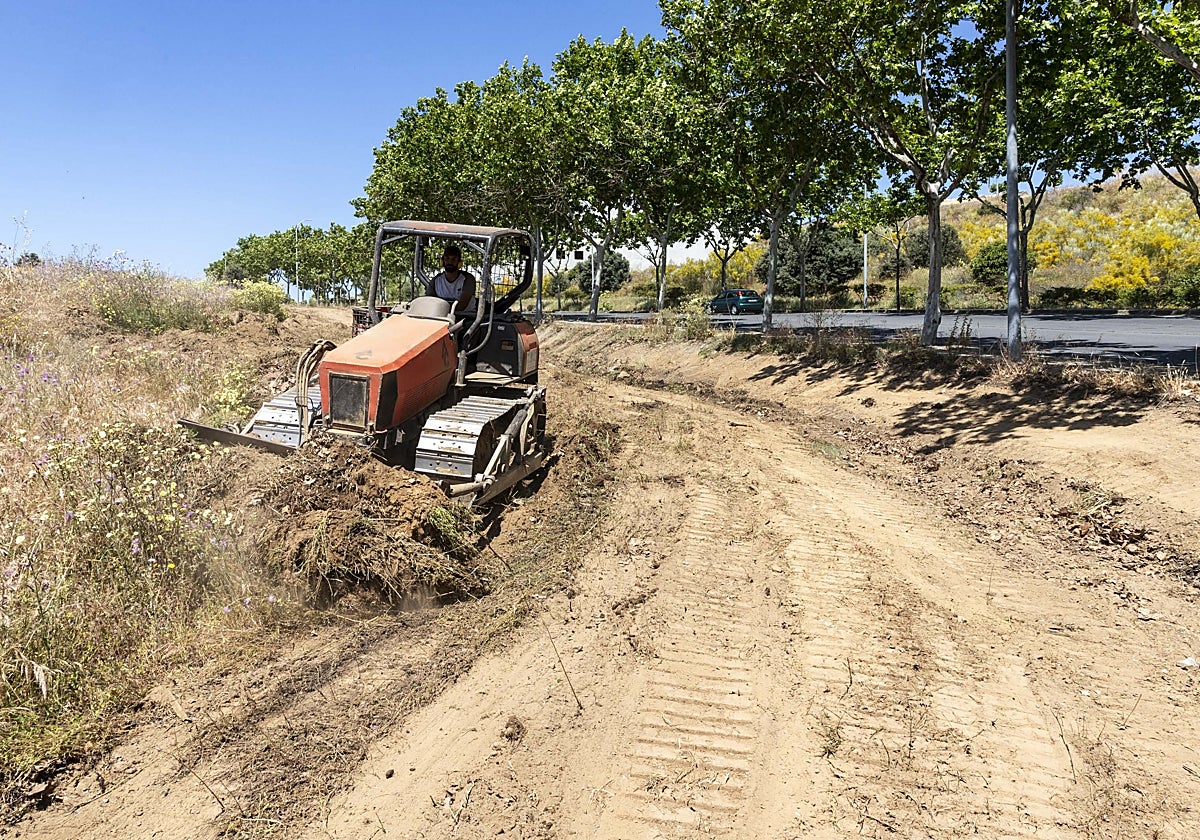 Los contratados llevarán a cabo mejores en diferentes puntos de Plasencia
