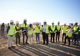 La fotovoltaica más grande de Naturgy en España estará en servicio en un año en Extremadura