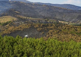 Un helicóptero interviene en el incendio de Las Hurdes del pasado mes de julio.