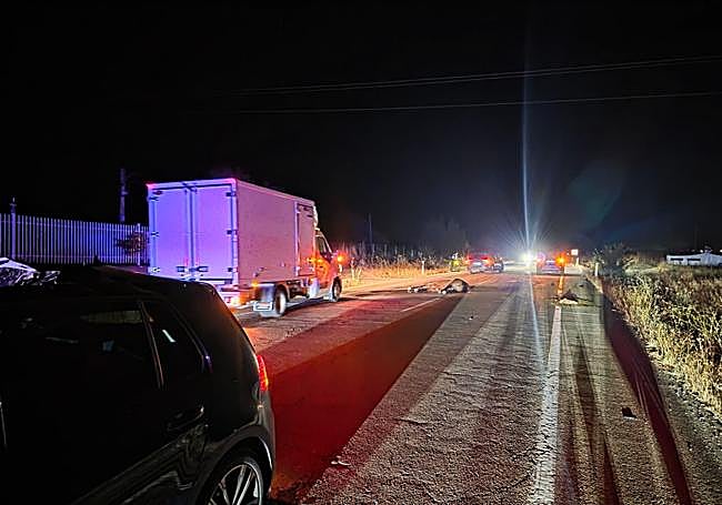 Animal tendido en la calzada tras el impacto contra el vehículo.