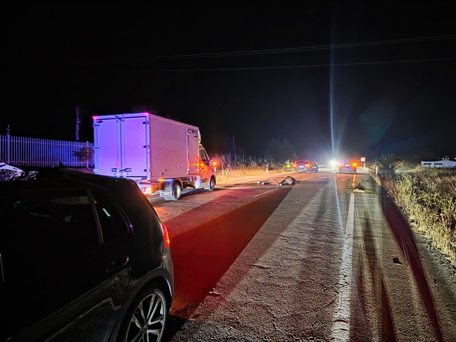 Fotos | Así ha quedado el coche tras al accidente mortal de un conductor y un caballo en Badajoz