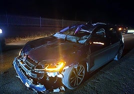 Estado en el que ha quedado el vehículo tras chocar contra el caballo.