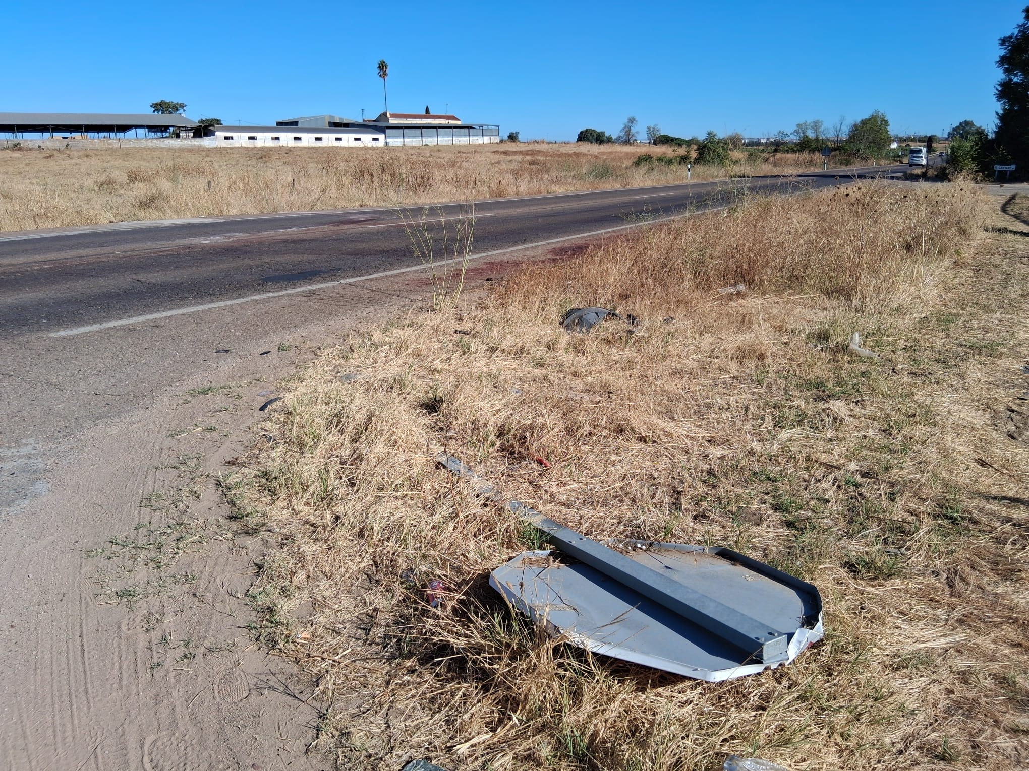Fotos | Así ha quedado el coche tras al accidente mortal de un conductor y un caballo en Badajoz