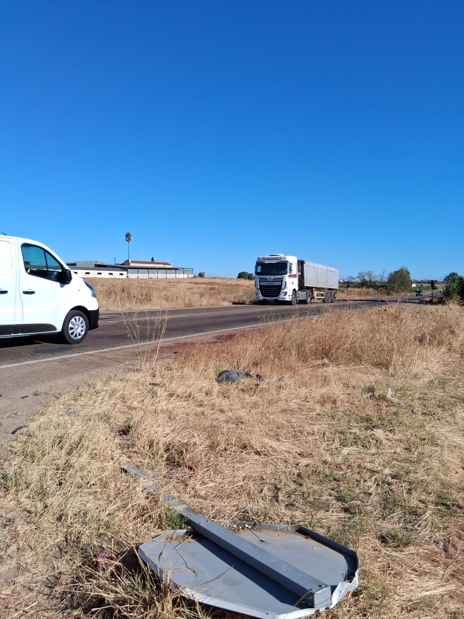 Fotos | Así ha quedado el coche tras al accidente mortal de un conductor y un caballo en Badajoz