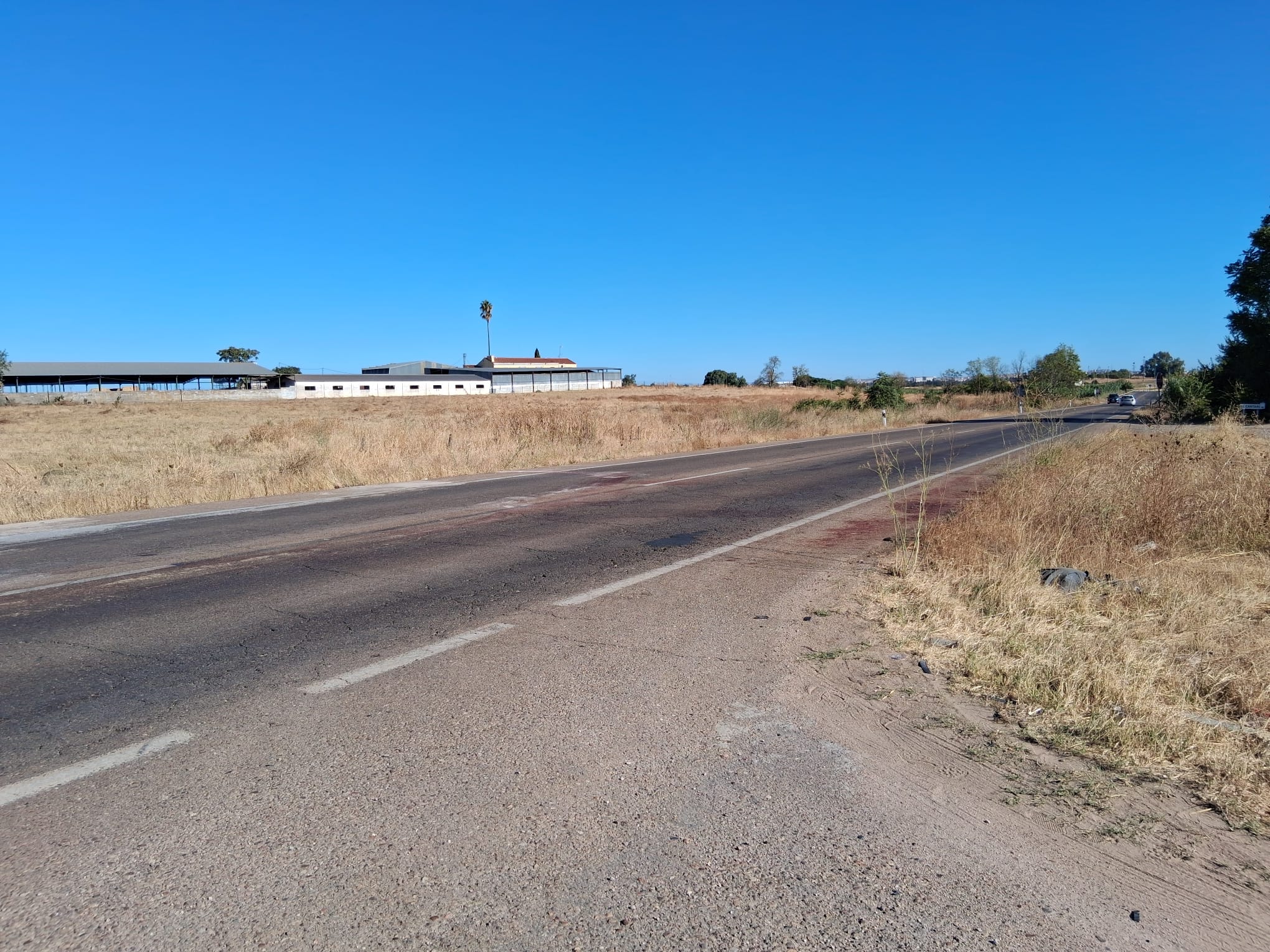 Fotos | Así ha quedado el coche tras al accidente mortal de un conductor y un caballo en Badajoz
