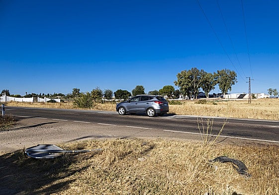 Punto de la carretera de Olivenza (Ex-107) donde ha ocurrido el accidente mortal al escaparse un caballo.