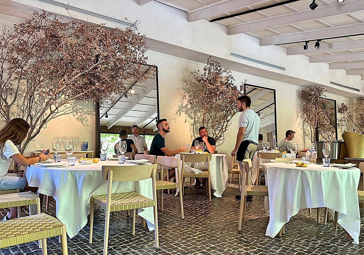 Imagen principal - Torre de Sande: Cuando el brócoli emociona