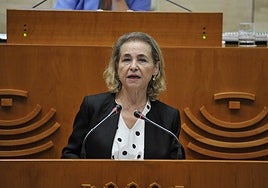 La consejera de Educación, Mercedes Vaquera, durante el pleno de la Asamblea de Extremadura celebrado este jueves.