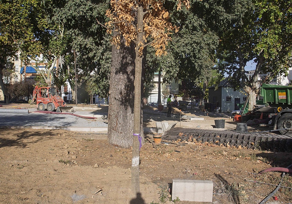 Imagen de una zona del parque López de Ayala en la que todavía no se han terminado los trabajos.