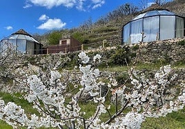 Una de las cúpulas del glamping El Regajo, en el Valle del Jerte.