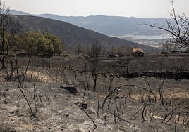 El incendio de Jarilla se da por extinguido 47 días después