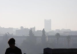 El humo ha invadido Badajoz este martes por la mañana.