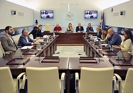 Reunión de la Comisión de Cultura en la que se han votado las enmiendas a la propuesta de ley.