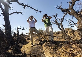 Mario Giménez y Marcelino Cardalliaguet, de SEO/BirdLife, en la Sierra de San Pedro afectada por los incendios.