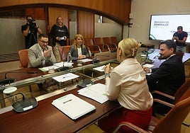 Jorge Amado y Piedad Álvarez, del Grupo Socialista, en el encuentro con los consejeros de Hacienda y Presidencia, Elena Manzano y Abel Bautista.