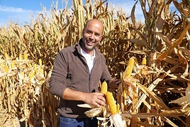 El agricultor Juan Francisco Palma, junto a los dos tipos de plantas de maíz.