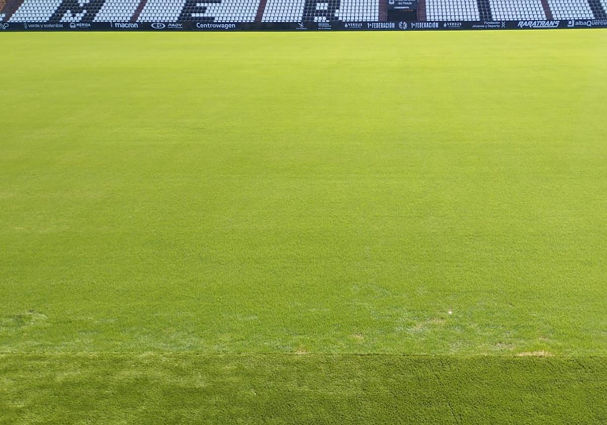 Aspecto actual del césped del Romano tras la nueva resiembra de invierno.