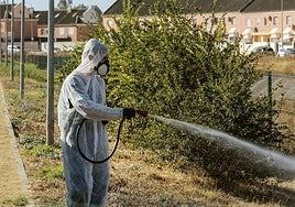 Imagen de archivo de labores de fumigación en zonas verdes.