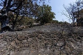 El Plan Infoex prorroga la época de peligro alto de incendios hasta el próximo día 26