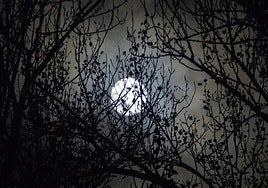 Luna llena del Cazador 2025: cuándo y cómo ver esta superluna de octubre