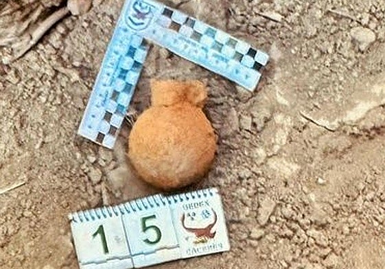 Desactivan una granada de mano hallada en una finca de Valencia del Mombuey