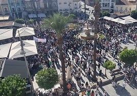 Un momento de la manifestación celebrada esta mañana en Mérida.