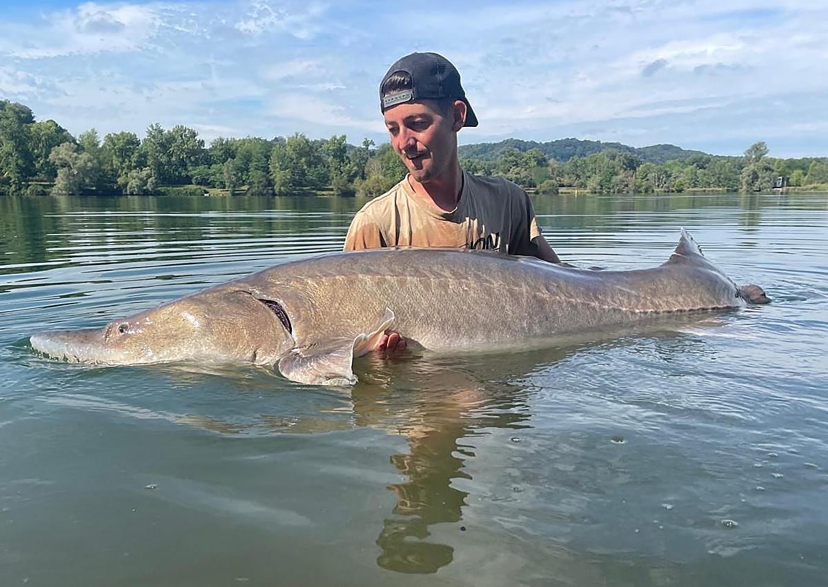Imagen secundaria 1 - Imágenes de la captura