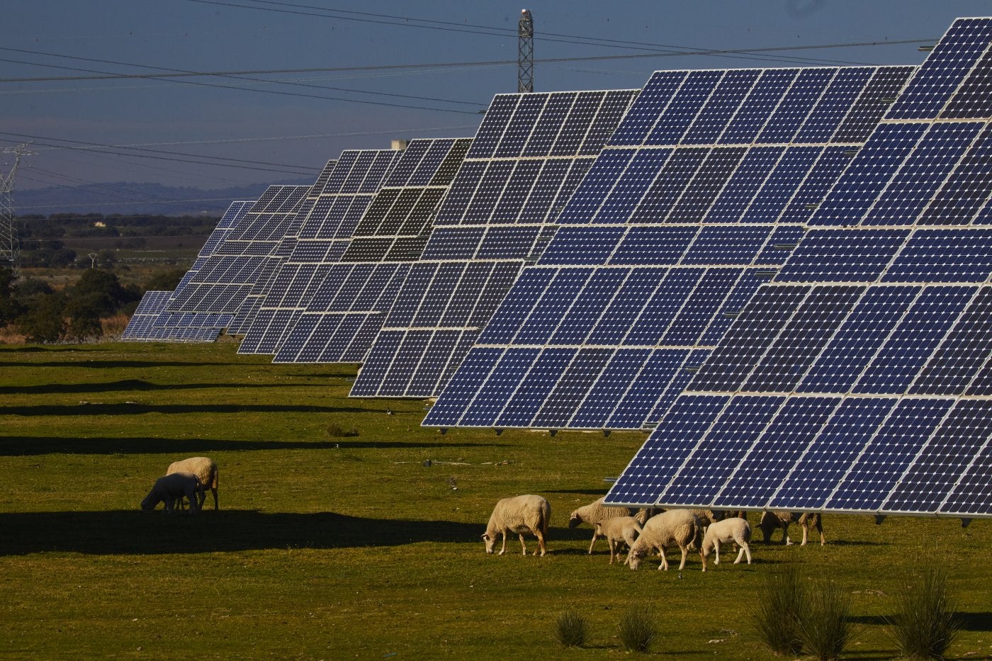 Parque fotovoltaico en el norte de la provincia de Cáceres.
