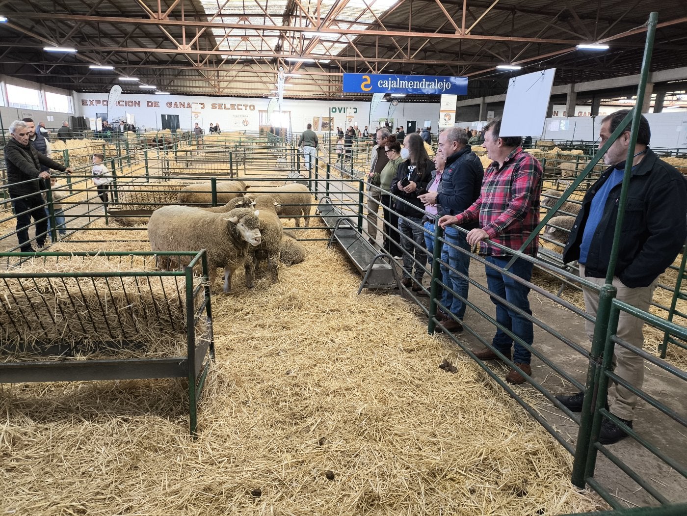 La nave del ganado ovino, en la Feria Agroganadera de 2024.