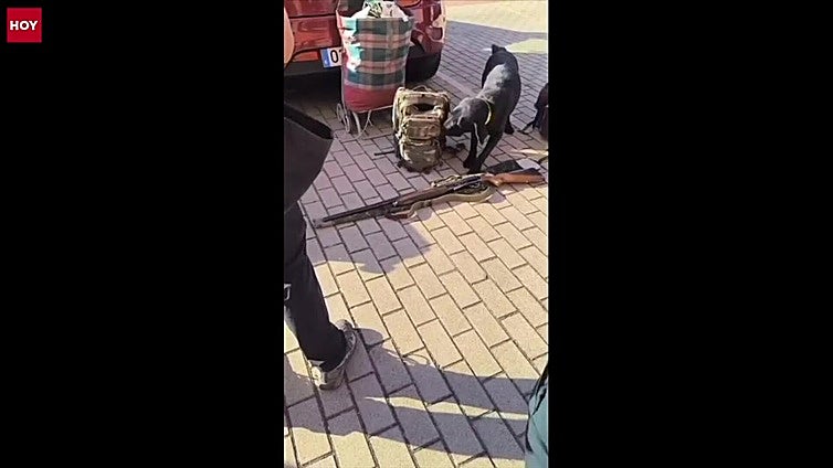 Detenidos dos vecinos de Plasencia tras huir en un vehículo robado con un arma