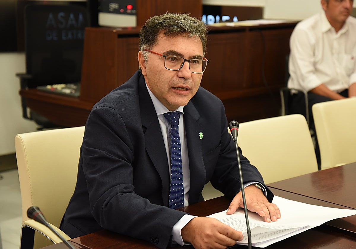 El gerente del SES, Jesús Vilés, este miércoles en la Asamblea.