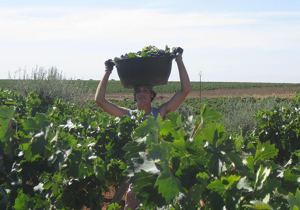 La Junta abona más de 22 millones para la agricultura