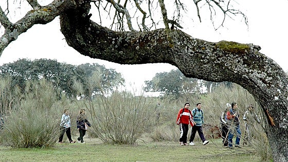 La ruta senderista al parque natural de Cornalvo tendrá dos recorridos, de 15 y de 26 kilómetros